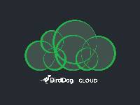 CLOUD YEARLY SUBSCRIPTION(BirdDog Cloudn~Licence  / ϥΪ)