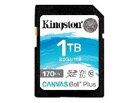 Ū170MB/Bg90MB/ UHS-I Class3 (U3) (KINGSTONhy1TB Canvas Go!Plus SDXCtOХd)